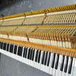 1910 Steinway A, recent restoration - Grand Pianos